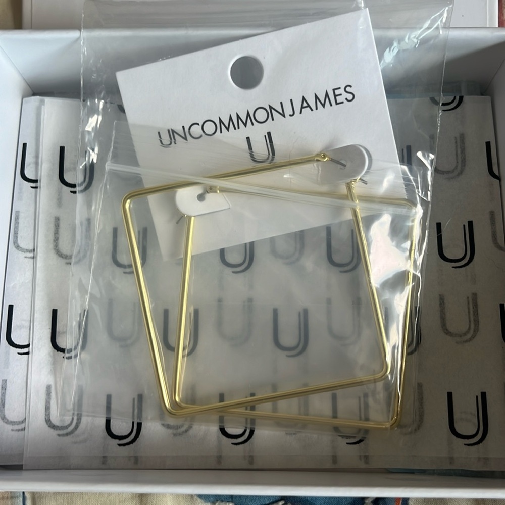 Uncommon James Large Square Hoops NWT